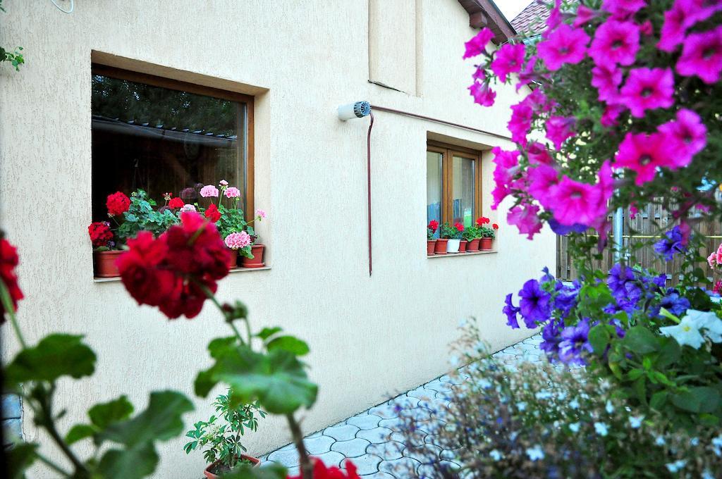 فندق Casa Maria جورا هومورولوي المظهر الخارجي الصورة